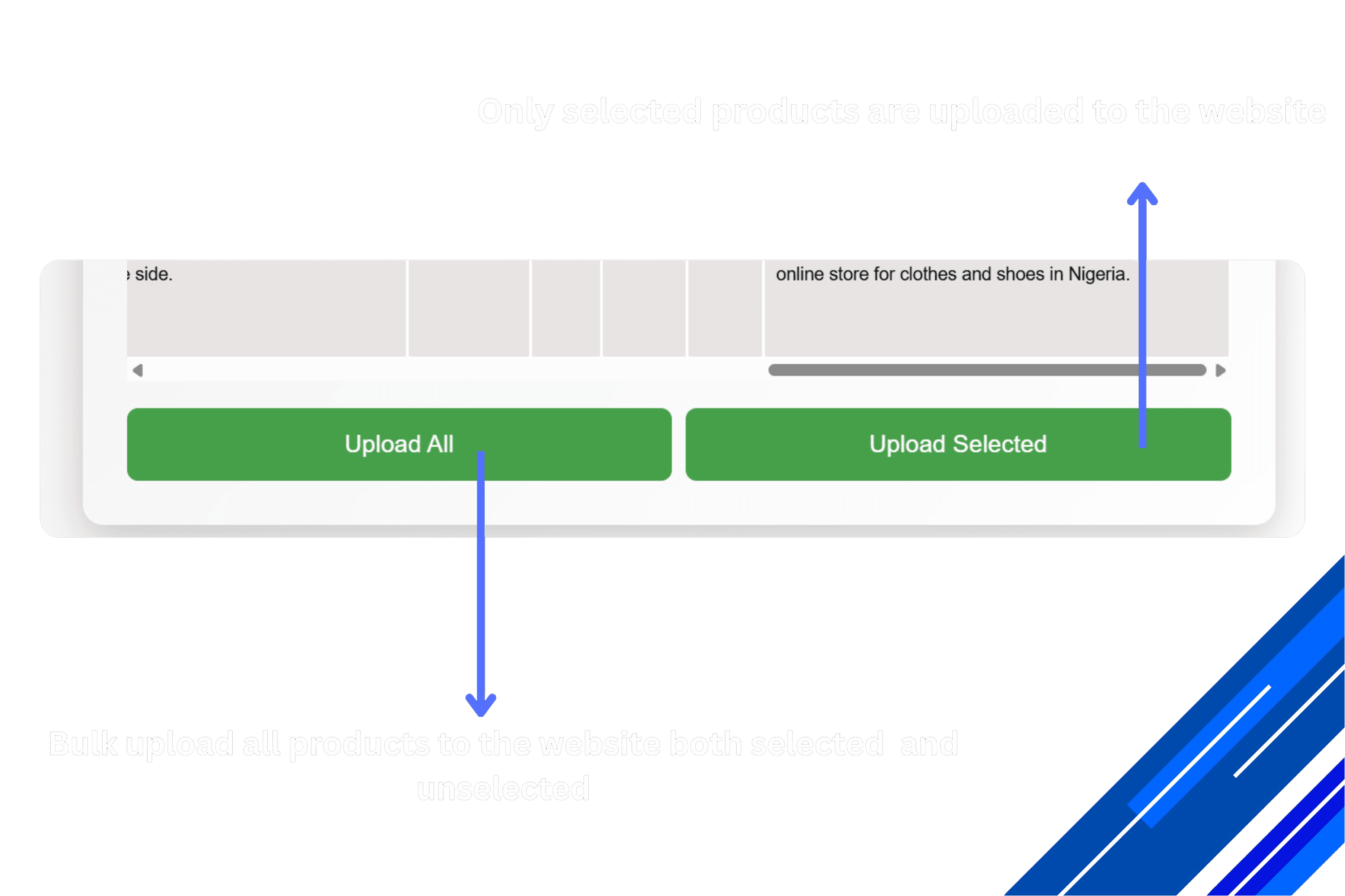 repsonsive website design. Botnovate UI mockup